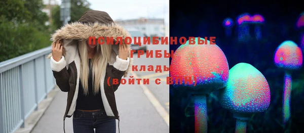 бошки Бронницы