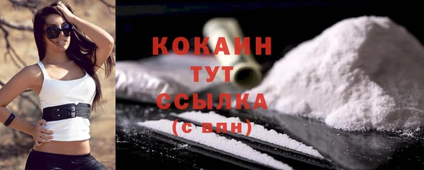 бошки Бронницы