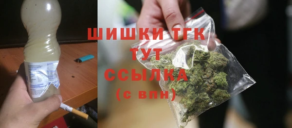 бошки Бронницы