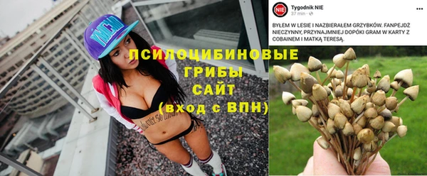 наркотики Бородино