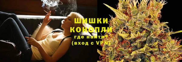 бошки Бронницы